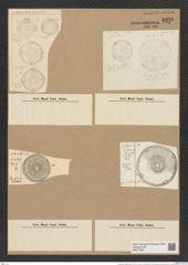 Hyphodiscus stellatus Grev. (de-Toni-Nr.: Genus 184, Species 4610) Zeichnungen Sammlung Grunow Nr. 8220 (NHMW-BOT-W0377605)